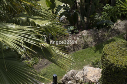 16a685289068635d4a4d9c935dea4e13 - 29