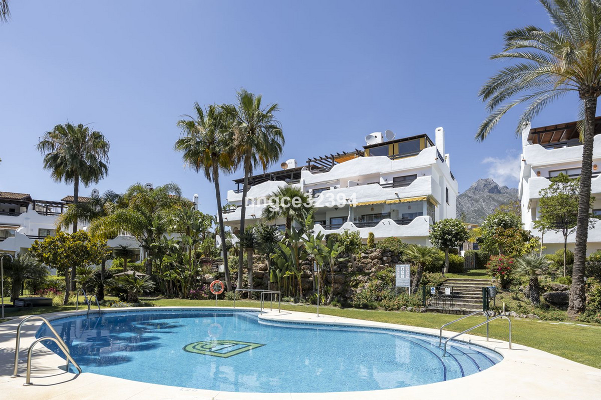 16a685289068635d4a4d9c935dea4e13 - 33