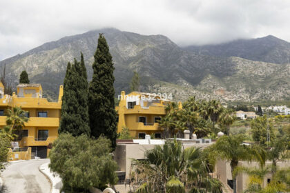 16a685289068635d4a4d9c935dea4e13 - 4