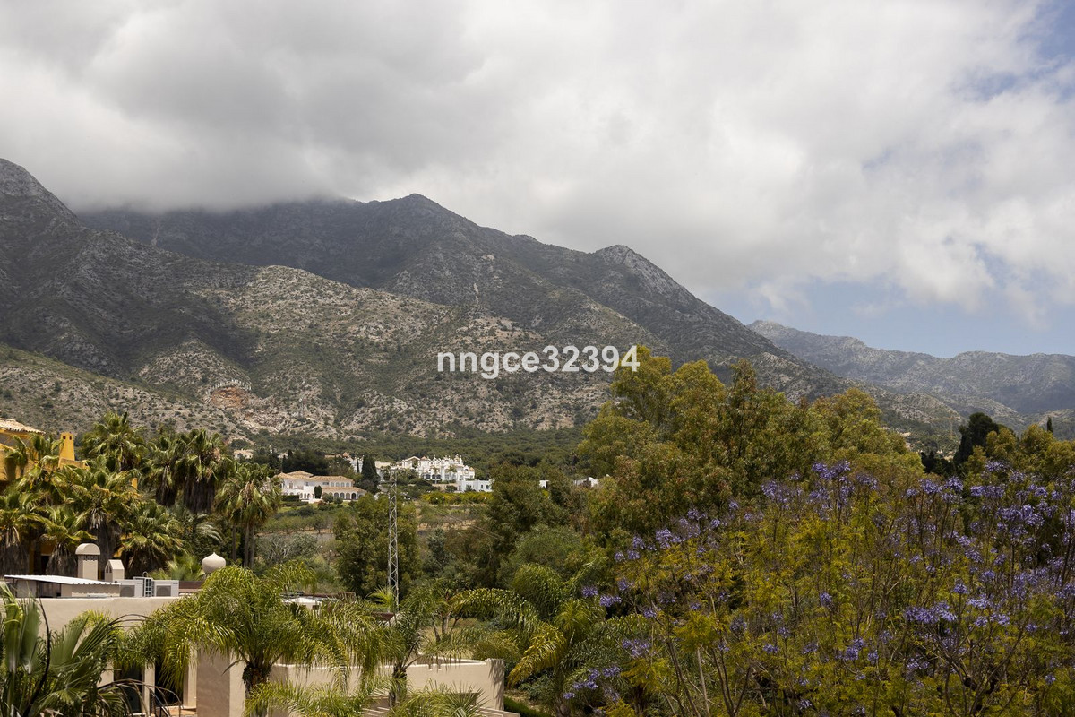 16a685289068635d4a4d9c935dea4e13 - 5