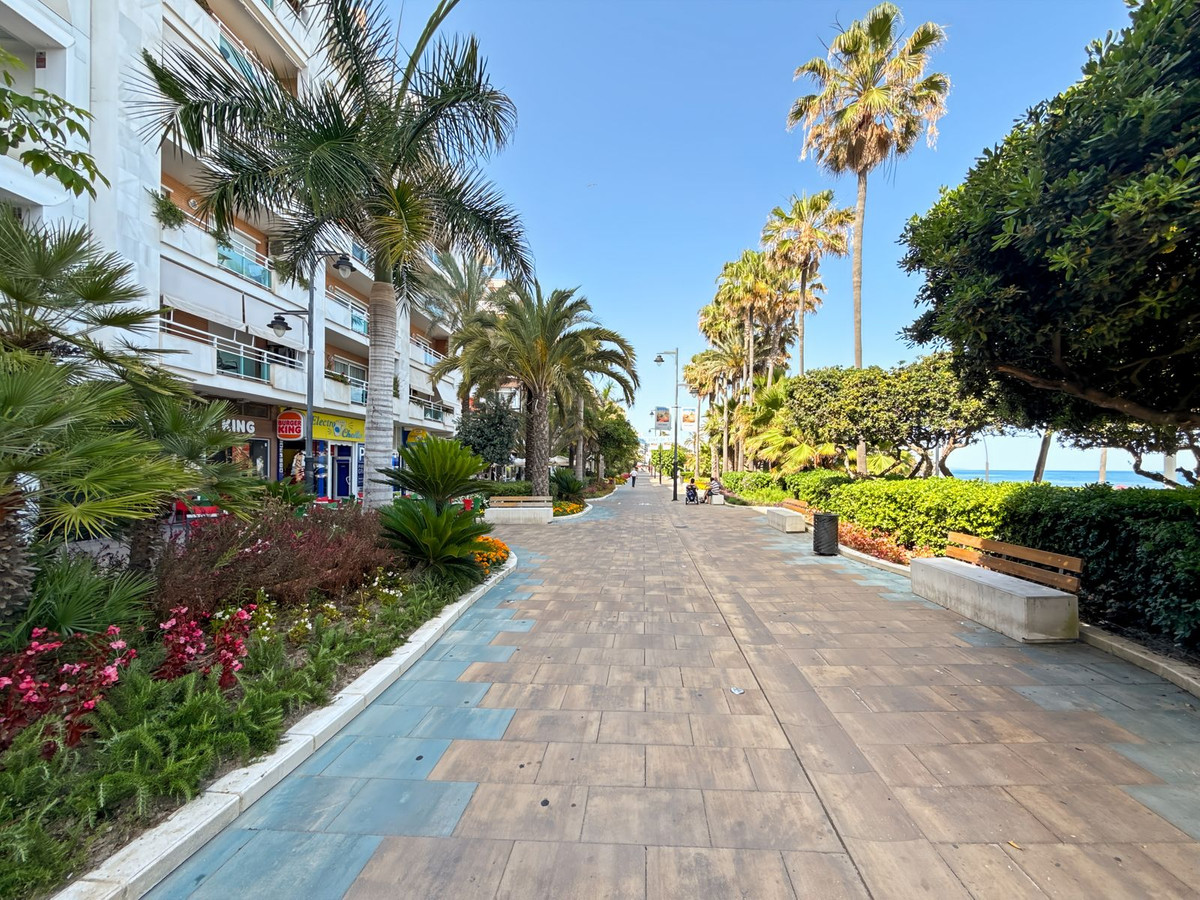 37b8a706f69845504ea222928a113613 - 66