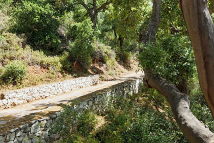 5b96e33a0fc2ba0195c089bfd56d9d08 - 40