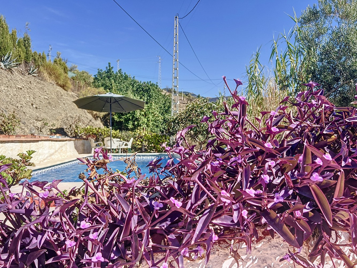 6c89de9f1327ad37ae6be2a2744349e5 - 1