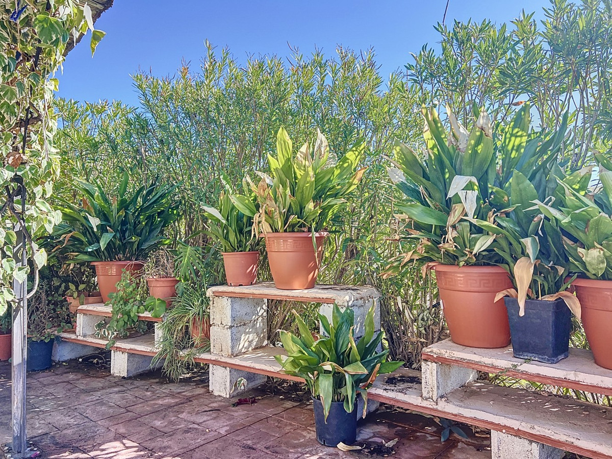 6c89de9f1327ad37ae6be2a2744349e5 - 37