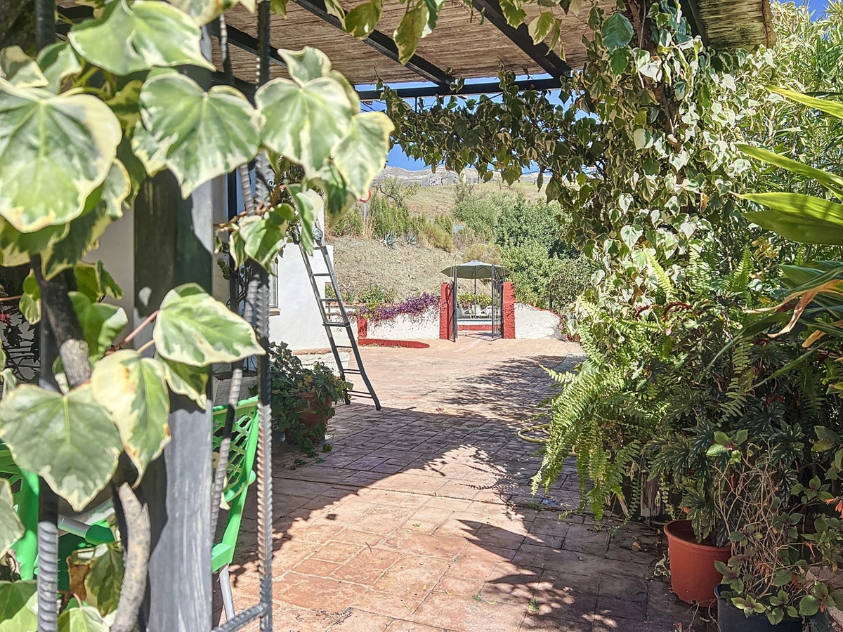 6c89de9f1327ad37ae6be2a2744349e5 - 38