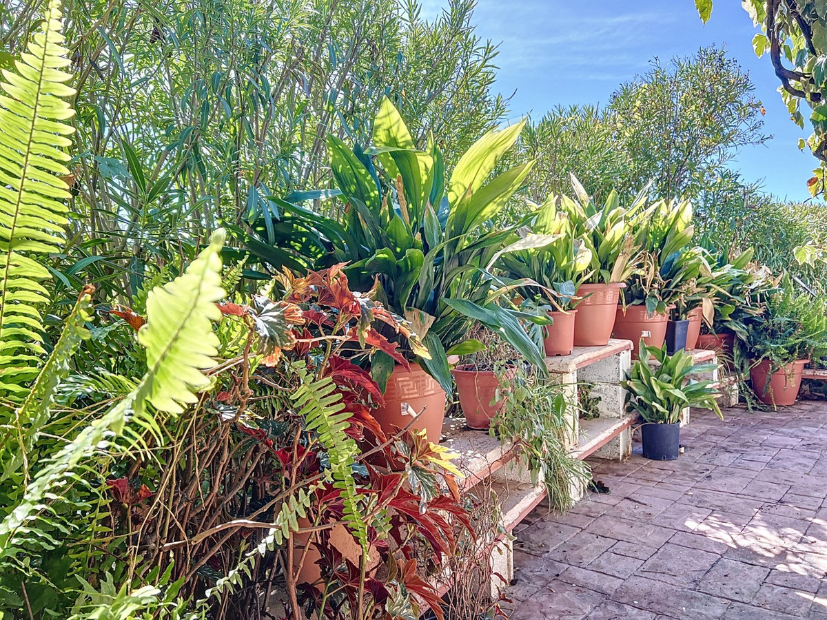 6c89de9f1327ad37ae6be2a2744349e5 - 43