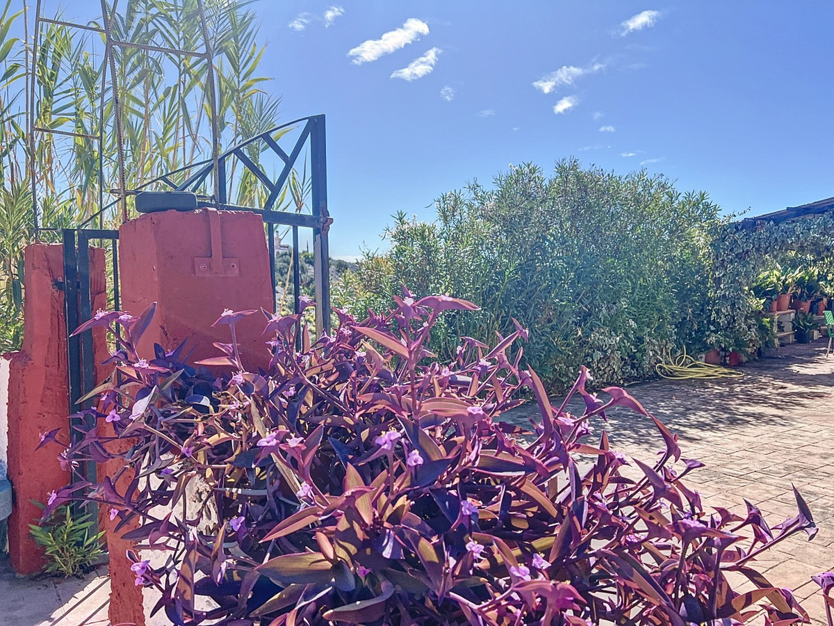 6c89de9f1327ad37ae6be2a2744349e5 - 45