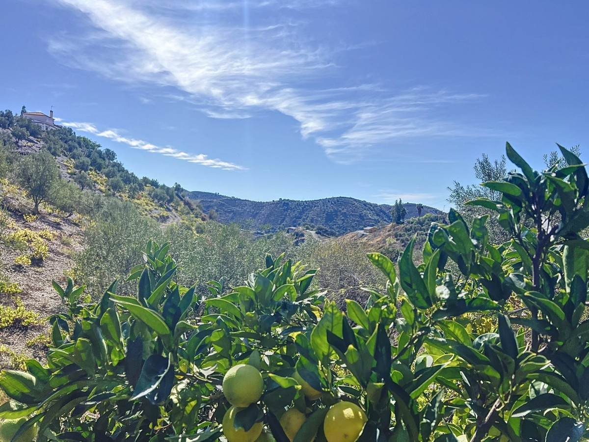 6c89de9f1327ad37ae6be2a2744349e5 - 50