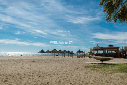 a36c2599947bd56df36de3043051c355 - 32