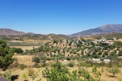 bc76808d1d87f4a3abee86ccb51da869 - 5