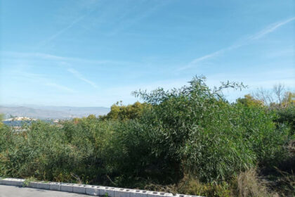 d22fa39d10fa342943e21bb56e5aeab4 - 15