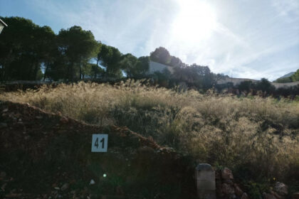 d22fa39d10fa342943e21bb56e5aeab4 - 19