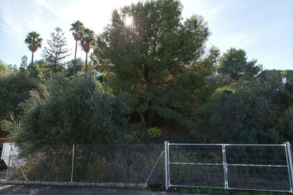 d22fa39d10fa342943e21bb56e5aeab4 - 20