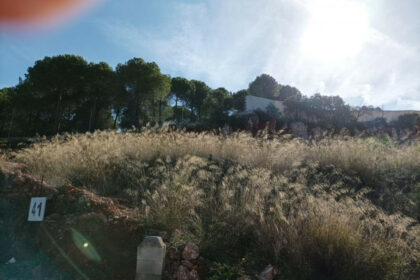 d22fa39d10fa342943e21bb56e5aeab4 - 22