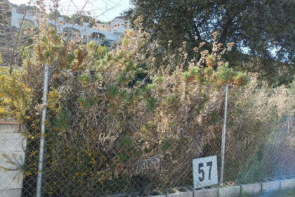 d22fa39d10fa342943e21bb56e5aeab4 - 6