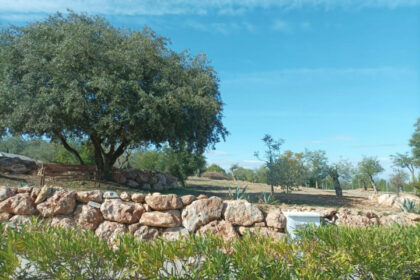 d22fa39d10fa342943e21bb56e5aeab4 - 8