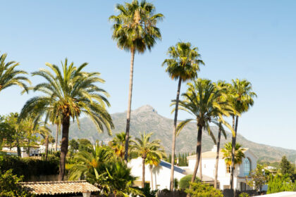 e28eed0a61f9430ce91dbc4059b02cc8 - 18