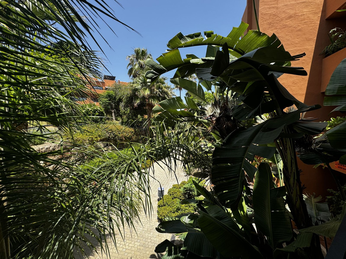 e35a96987aa683fea7fb1e0fa3ead17a - 25