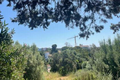 fe8682f73c86188f293fe28062223b33 - 16