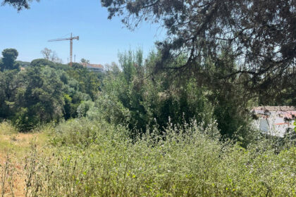 fe8682f73c86188f293fe28062223b33 - 17