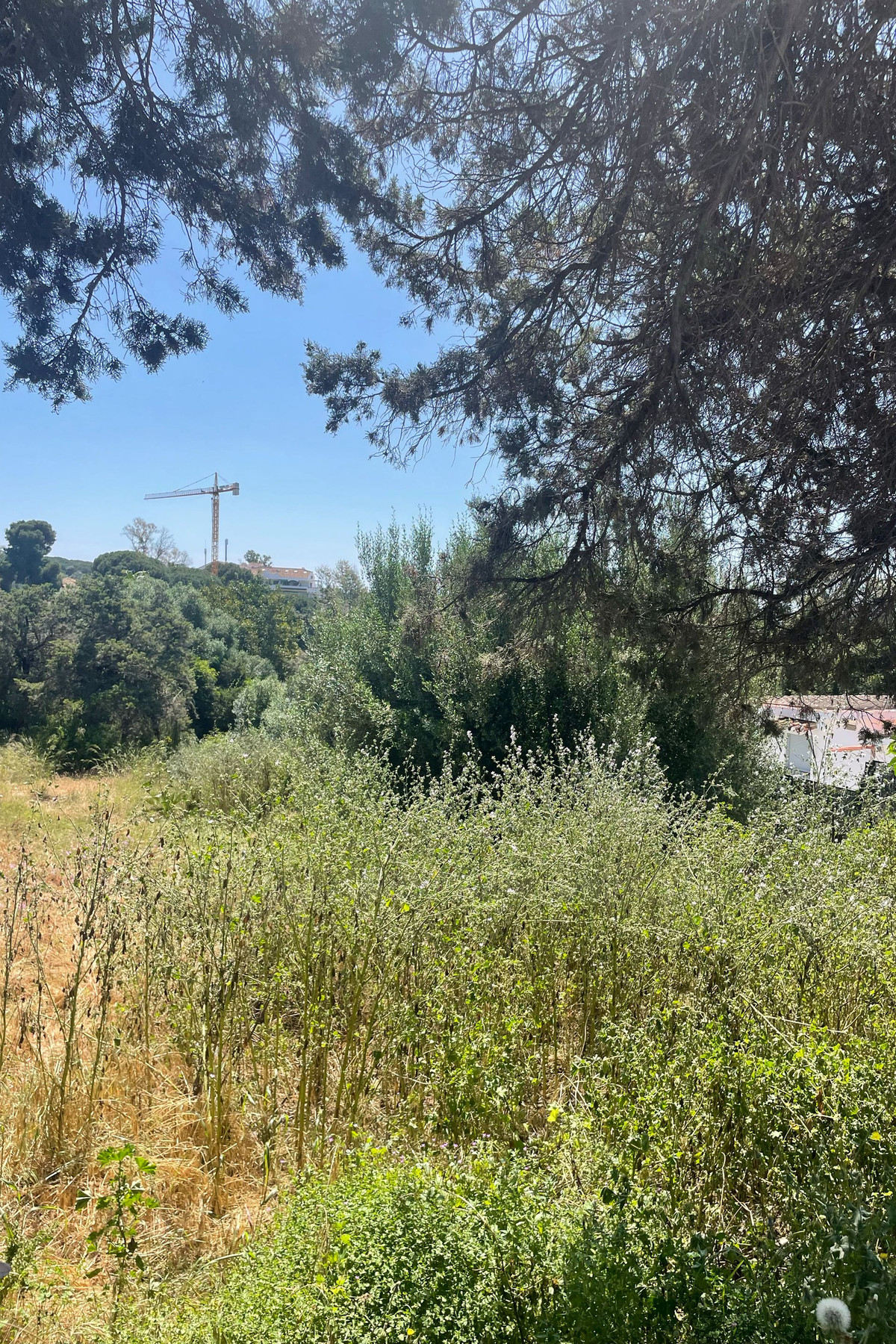 fe8682f73c86188f293fe28062223b33 - 17