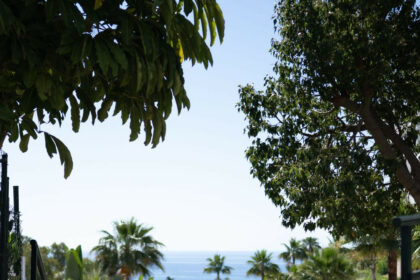 001711cabe2ef3187680edddbd7443b6 - 36