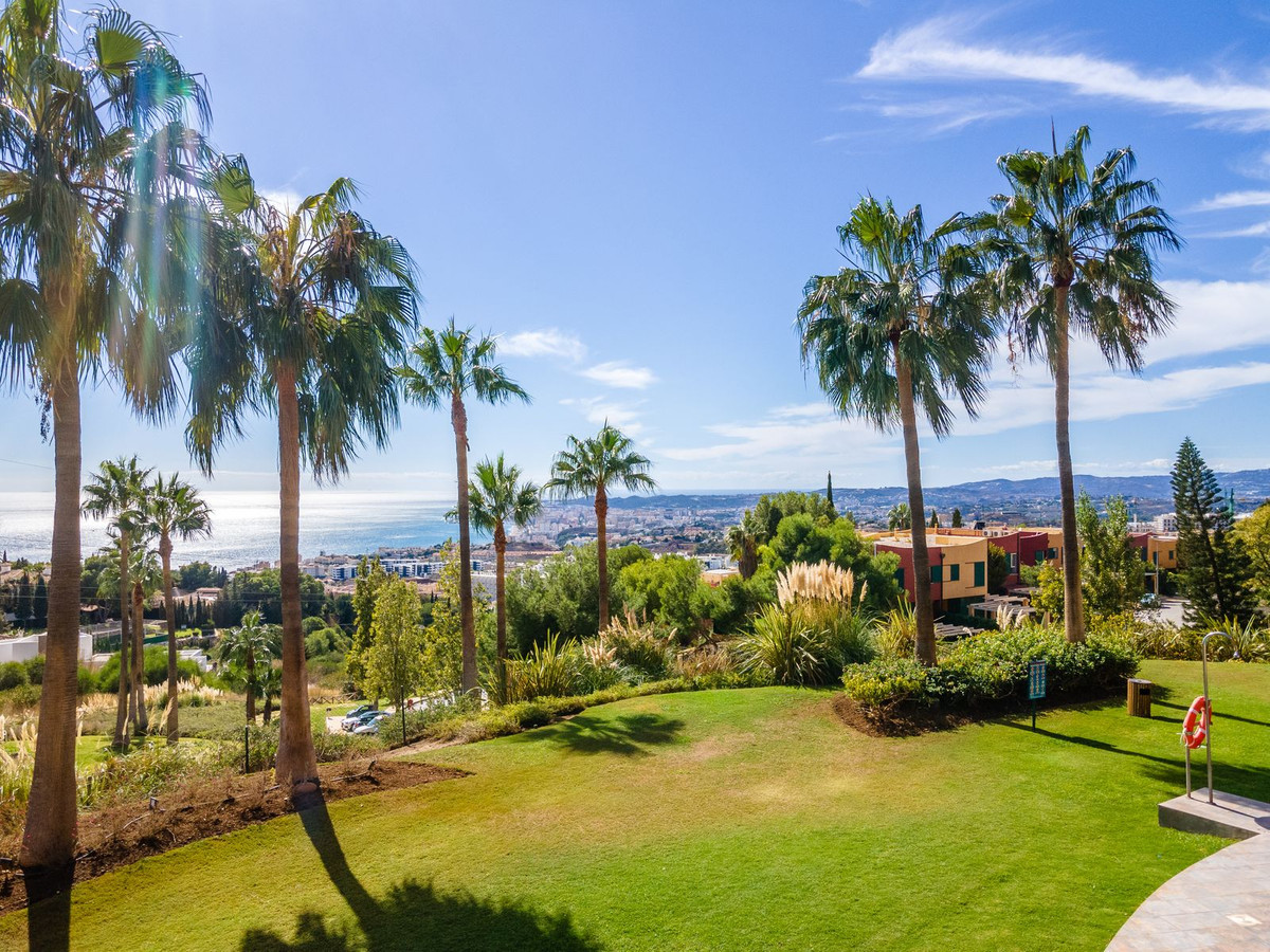 31073bedae764658f2780f2910a2bffc - 24