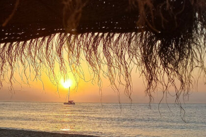 31ec0be8ce7243300b4c952122f26399 - 15