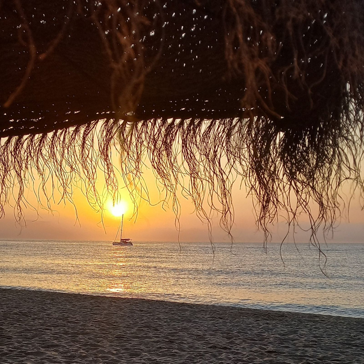 31ec0be8ce7243300b4c952122f26399 - 15