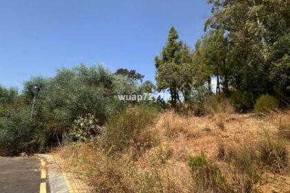 42b9718fcb8bfb048584cacad807fce3 - 3