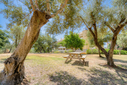 52c8a781d77abbe76c682140480a33f8 - 19