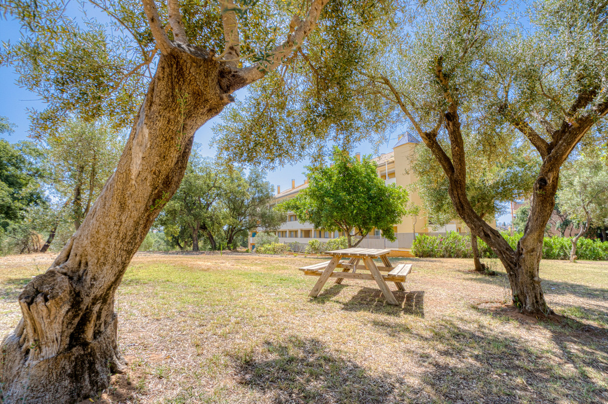 52c8a781d77abbe76c682140480a33f8 - 19