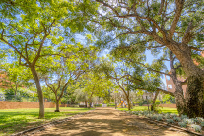 52c8a781d77abbe76c682140480a33f8 - 21