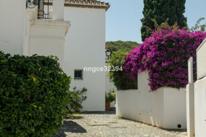 54524dfaef1538ab0758360f337cf8a8 - 23