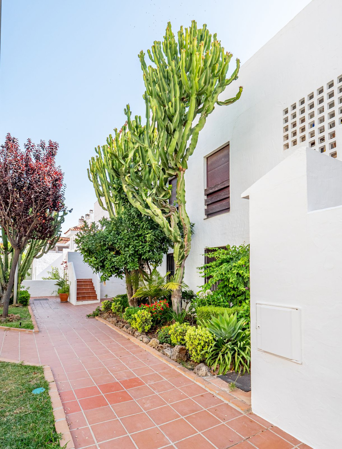 55e6791b3d9daa6717ba85e77f3a08b5 - 34