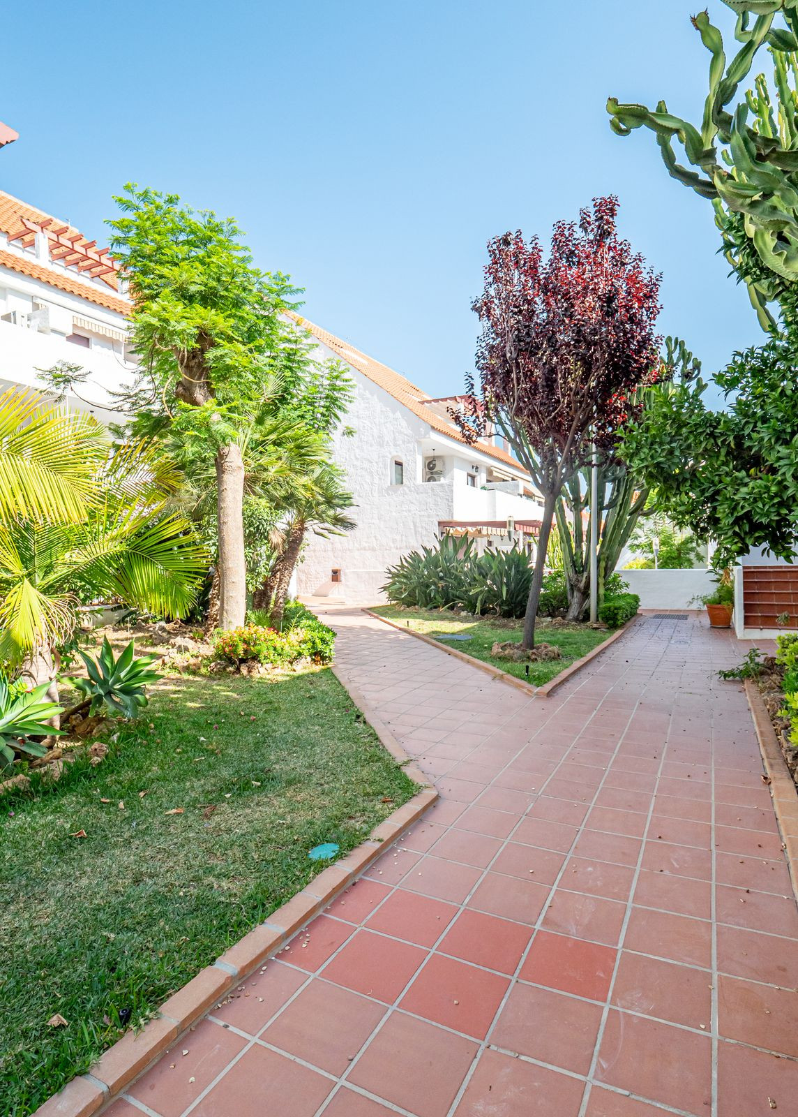 55e6791b3d9daa6717ba85e77f3a08b5 - 35