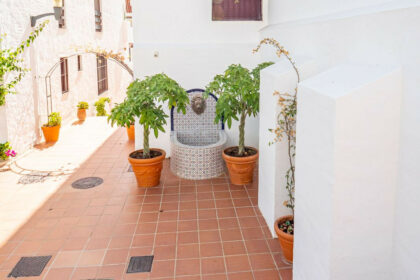 55e6791b3d9daa6717ba85e77f3a08b5 - 37