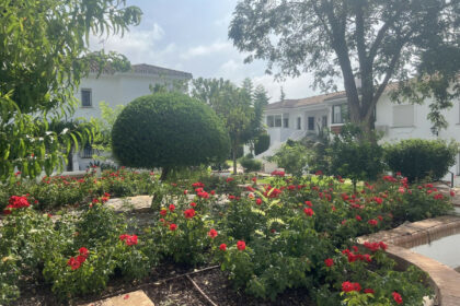 5802bbd04450ac52648dd442ecc45d0b - 19