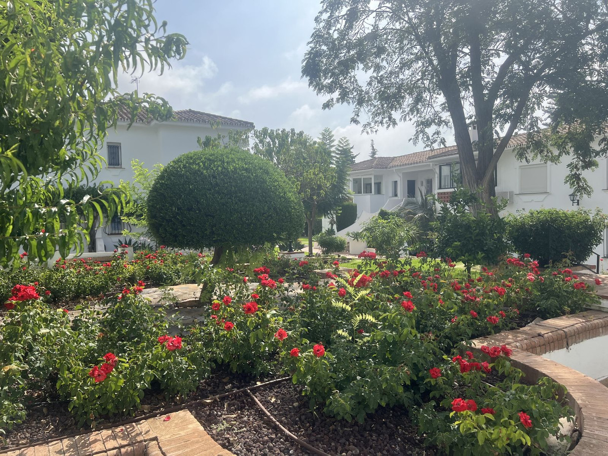 5802bbd04450ac52648dd442ecc45d0b - 19