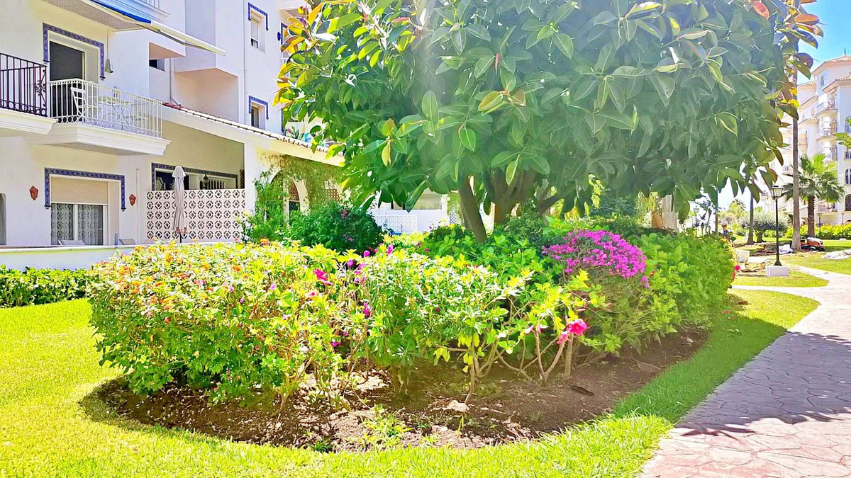 5a6ee5509ad516fc575d6c11be3a830a - 24