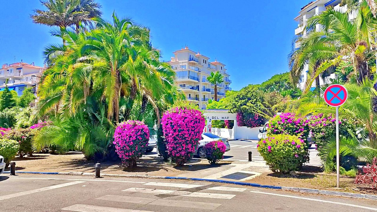 5a6ee5509ad516fc575d6c11be3a830a - 26