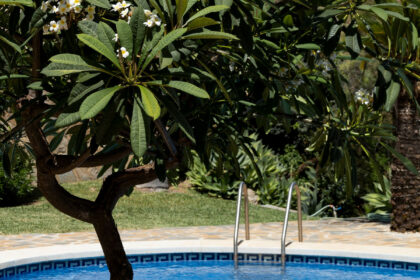 5d5fb2ac575b4542dbac063befffd99f - 45