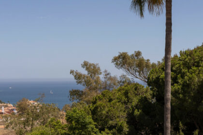 5d5fb2ac575b4542dbac063befffd99f - 49