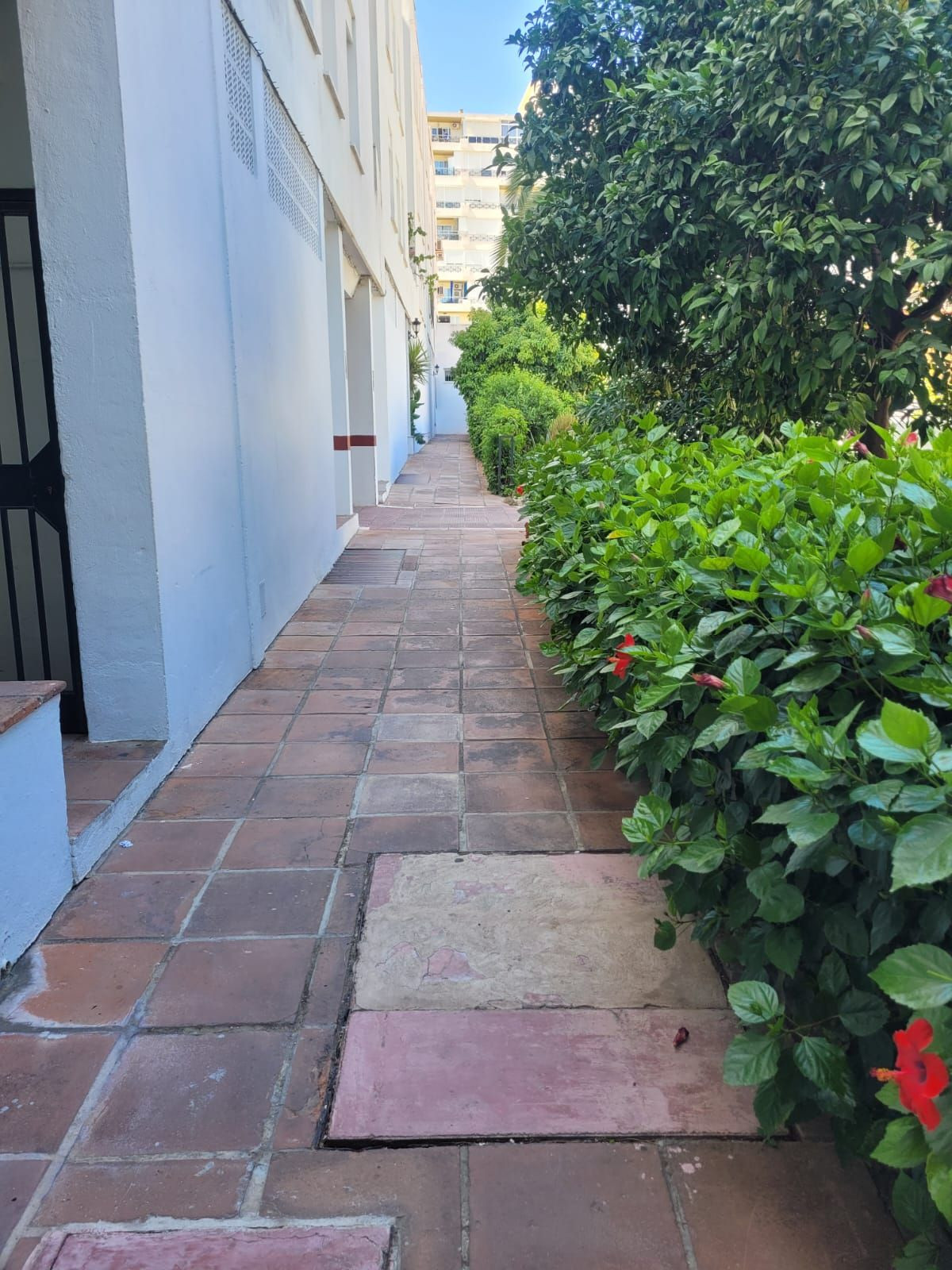 66766bc4f2bc1d08f112e9f82977168e - 11