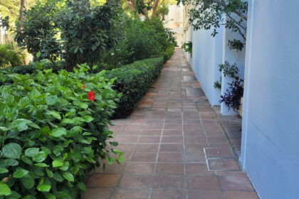 66766bc4f2bc1d08f112e9f82977168e - 12