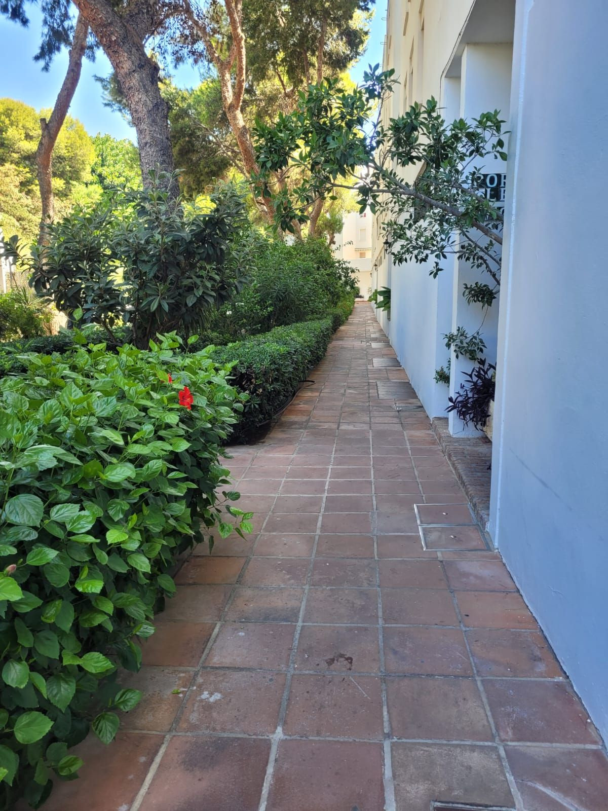 66766bc4f2bc1d08f112e9f82977168e - 12