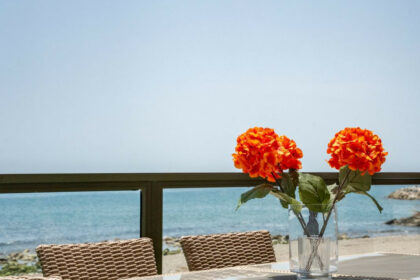 768694c2e28cfeb7f9d32b61e54fd8e9 - 39