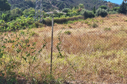 8a7178db2f9bc2f745fd34f45f983241 - 3