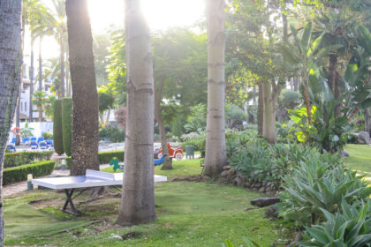 91f88035df3e7a393e6f7931287721ea - 8