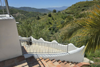 9df2e3e55eb07ae7ca69ec04629be972 - 37